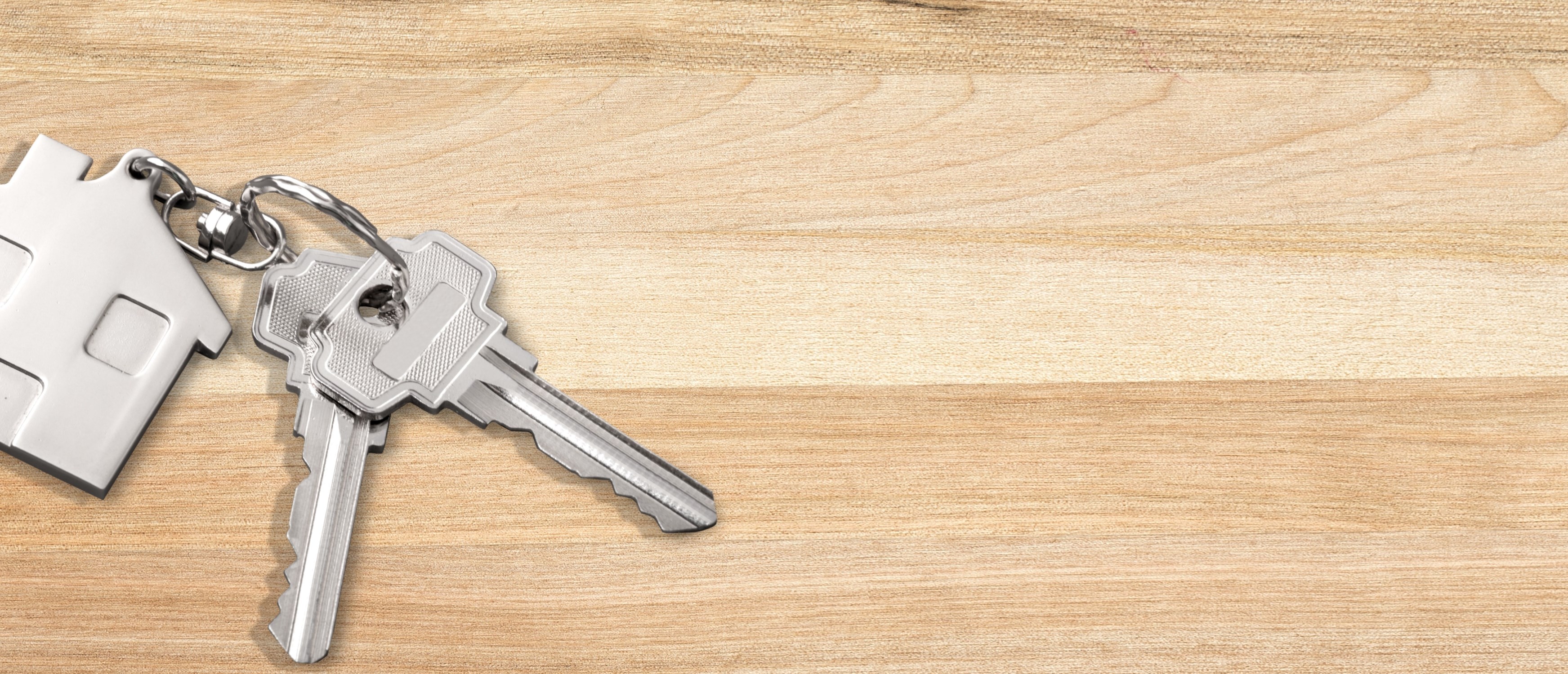 AVS Wohnbau Impression